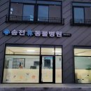 송전휴동물병원