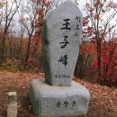 제386회 정기산행 전북 순창 강천산(584m) 단풍산행 (2020. 11. 7) 이미지