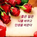 덕담 Daum카페