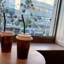 지금여기서행복하개 이미지