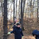 구립은행나무어린이집 이미지