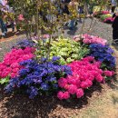 베블리협동조합 이미지