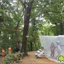 자연유치원 이미지