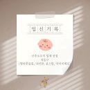 윤스맘 | 26w6d (서울시 성동구 산후도우미 정부지원 업체 상담 비교 예약 행복한돌봄, 아이미래로, 닥터맘, 윤스맘)