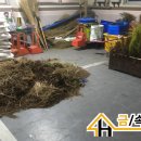 광교1동행정복지센터 이미지