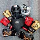 더원 복싱 스타디움 이미지