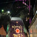 낭만이 흐르는 불과 빛의 도시, 포항 야경 명소 4 :: 포항 송도해수욕장, 포항운하, 영일대 장미원, 구룡포 일본인 가옥거리 이미지