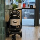 학동 애견 이미지