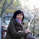 아기새어린이집 이미지