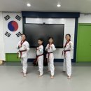 태권숲 여아전문태권도장 이미지