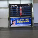 대구발 동방항공 MU5054 기내식 상하이푸동공항 입국기