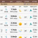 천리포항 이미지