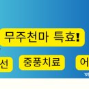 천마가스 이미지