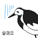 목포자연사박물관 이미지