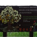 볼음도길 이미지
