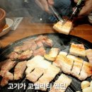 고퀼리티 고기가 있는 무한리필 발산역고기집 _ 고기싸롱 발산역점