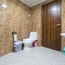 둥지애견 이미지