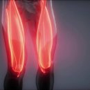 강서아이엠유의원 이미지