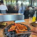 대형견도 가능! 춘천 애견동반 식당 참나무 숯불닭갈비 솔직후기🐶