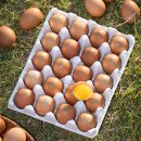 닥터리가정의학과의원 | "살 무섭게 빠진다"...아침 공복에 '이것' 먹으면!