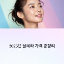 정자프라임동물병원 | 2025년 울쎄라 가격 최신 정보 및 병원별 비용 분석