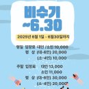 예보매점 | 취사가능한 일산 고양 수영장 오즈키즈워터파크 시설 매점 후기 및 평상자리추천