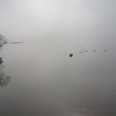 대안4리마을회관 이미지