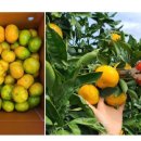 하예동-10 이미지