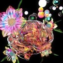 마마케어 이미지