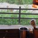 청담이상 이미지