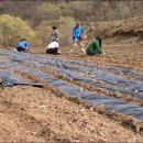 수동그린낚시터 이미지