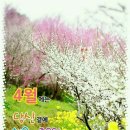 모음집 이미지