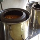 가월가물치 이미지