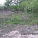 개울가 펜션 이미지