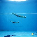 양양군 문화복지회관 수영장 이미지