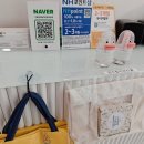 아프리카안경 롯데아울렛남악점 | 무안 초가성비 안경 렌즈 선글라스 구매는 으뜸50안경 목포남악점 친절한서비스