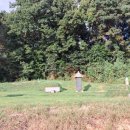 한익모선생 묘 이미지