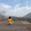 숲펜션민박 이미지