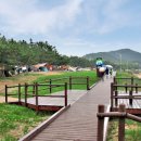 푸른바다와 캠핑 이미지