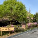 자연숲펜션 - 용인시 처인구 원양로591번길 93-34 | 자연숲펜션