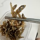 해안로건어물상가시장 | 목포 건어물 현대유통 신안 햇 곱창김 진도멸치 후기