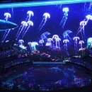 노형수퍼마켙 이미지