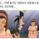 강릉노추산힐링캠프 이미지