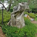 덕소자연사박물관 이미지