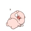 울트라 짐 이미지