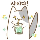 쌍따봉 닭도리 이미지