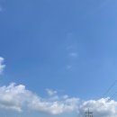 건지사거리 횡단보도 앞 이미지