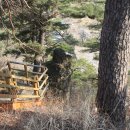 계곡사랑 이미지