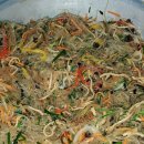 18  엄마 반찬 이미지