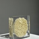 피자마리 이미지